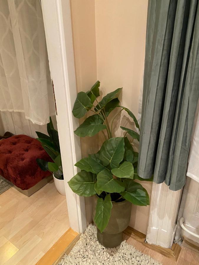 Jungle Story Apartment By Millenaris Park With Free Parking Budapeşte Dış mekan fotoğraf