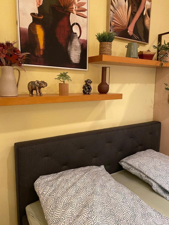 Jungle Story Apartment By Millenaris Park With Free Parking Budapeşte Dış mekan fotoğraf