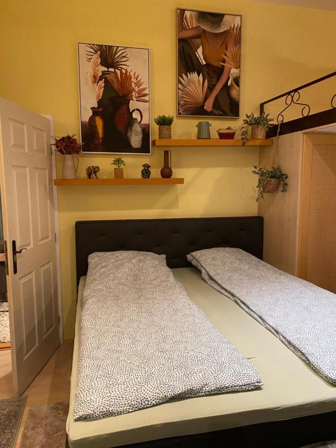 Jungle Story Apartment By Millenaris Park With Free Parking Budapeşte Dış mekan fotoğraf